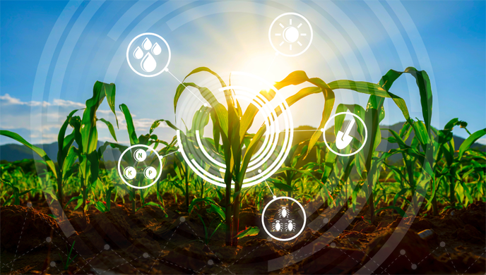 Yield Farming Basics: Everything You Need To Know