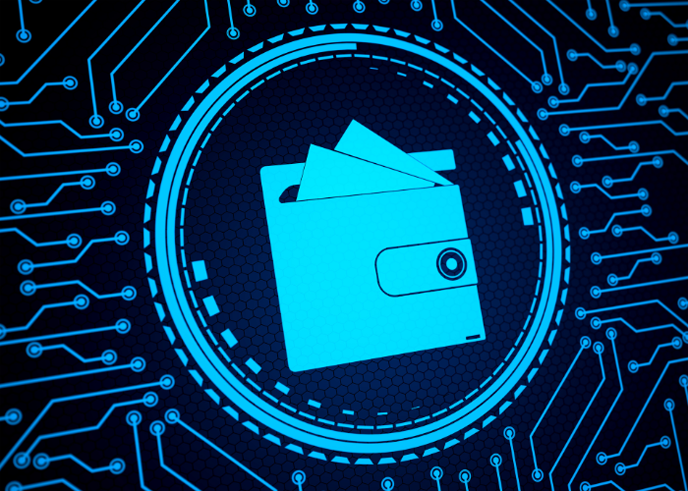 What is a Crypto Wallet, and How To Use Them