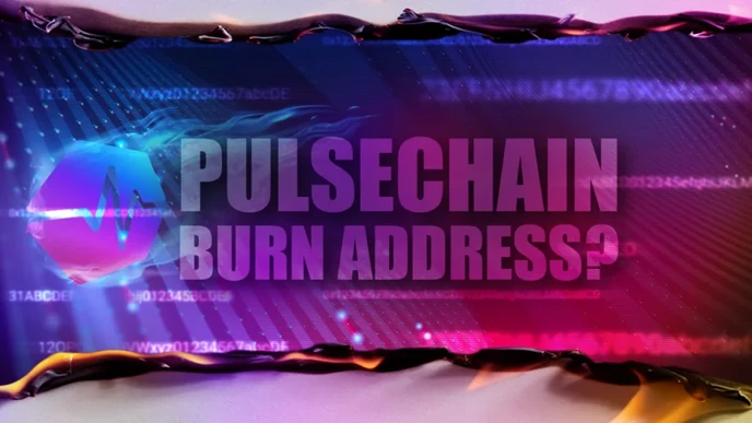 PulseChain Burn Address