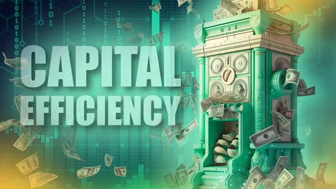 Capital efficiency